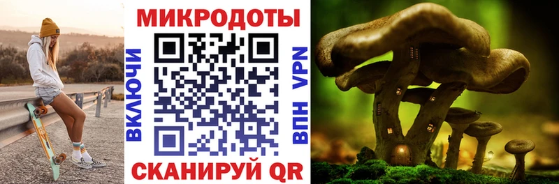 где купить наркоту дарк нет наркотические препараты Галлюциногенные грибы Cubensis Гудермес